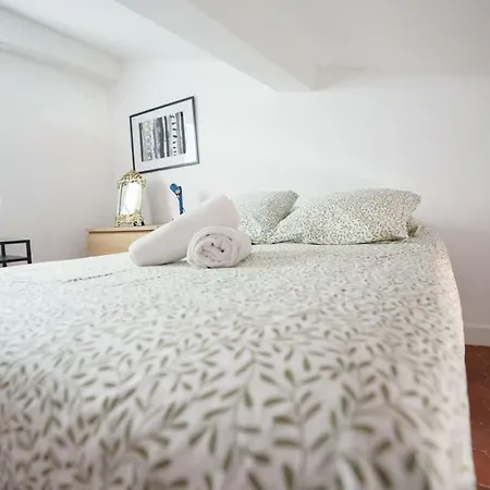 Le Nid De La Rue Mailly - Hyper Centre Holiday home Perpignan
